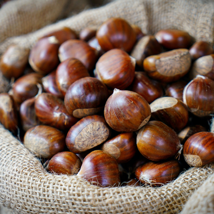 Fresh Portuguese Chestnuts