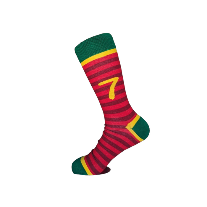 Team Portugal Socks