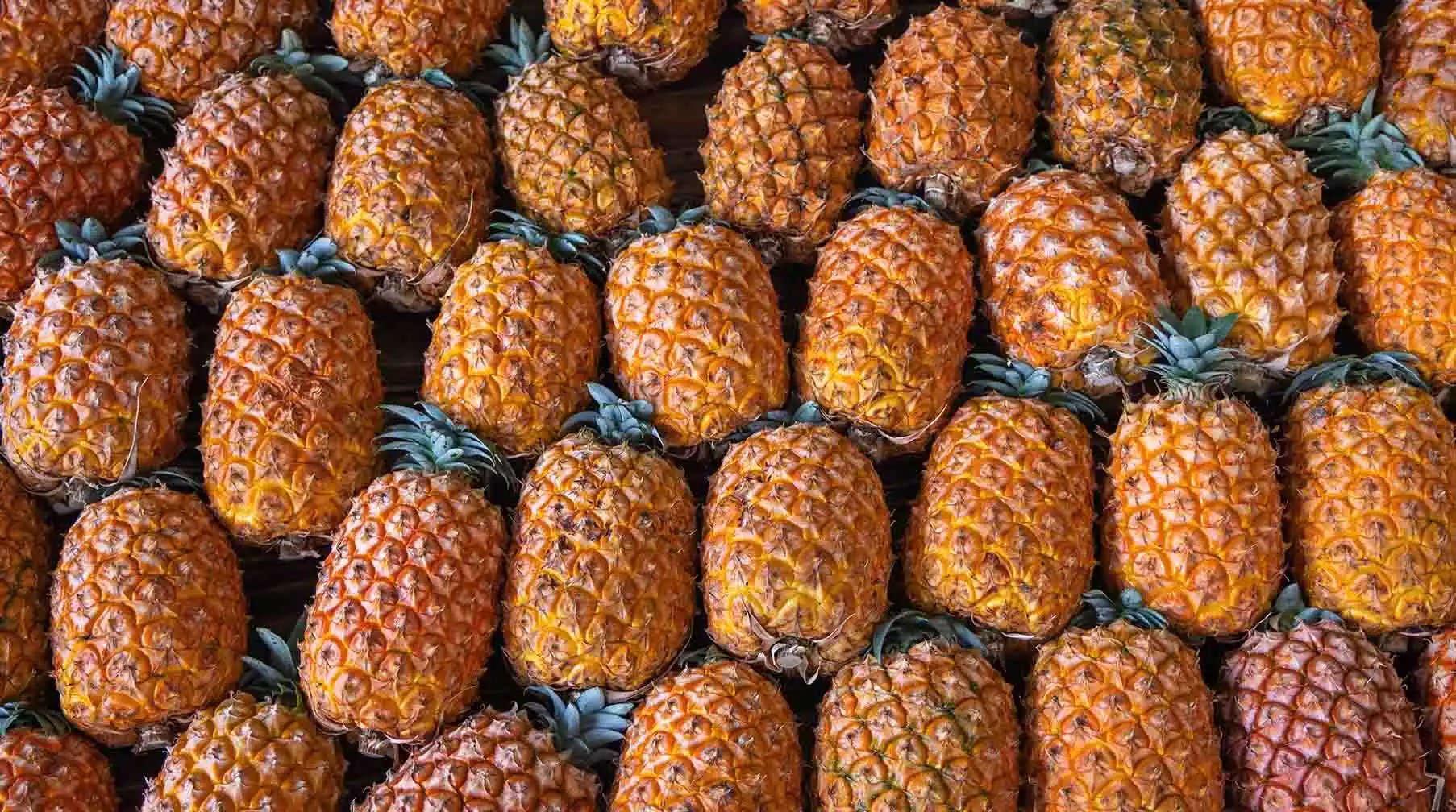 Buy Portuguese Pineapples Online!