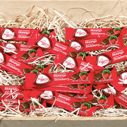 Regina - Fruit Flavored Chocolate Bars (Choose from 4 Flavors) - Shopportuguese.com  